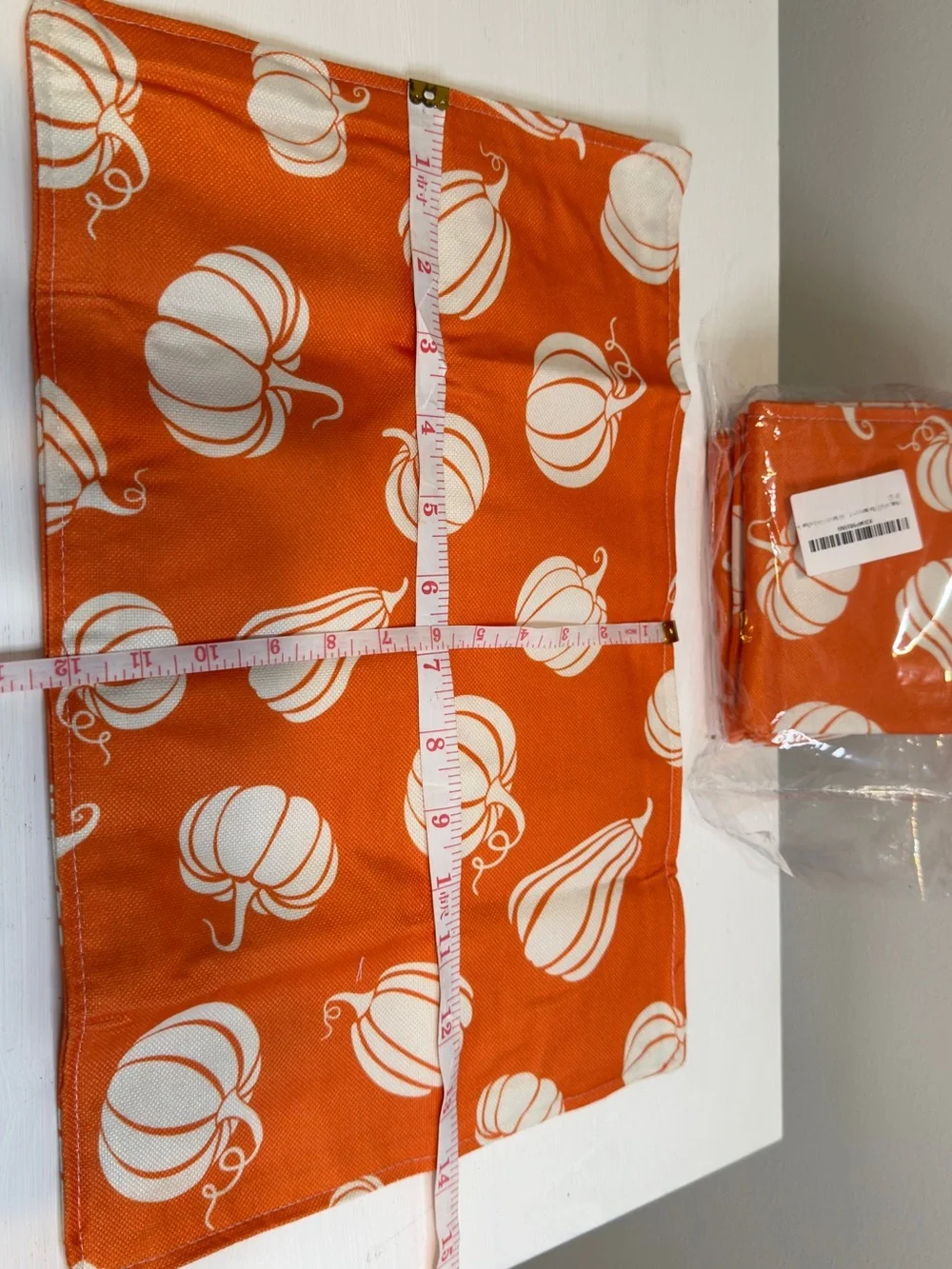 Orange and White Pumpkin Placemat Set of 4